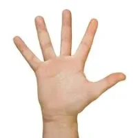 Vignette de la rubrique : Les 5 essentielles