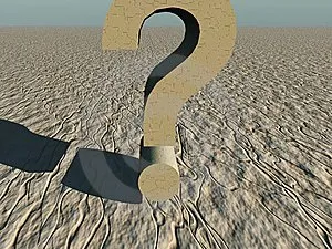 Ce qu'il faut absolument savoir sur les huiles essentielles