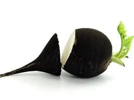 La cure de détoxination